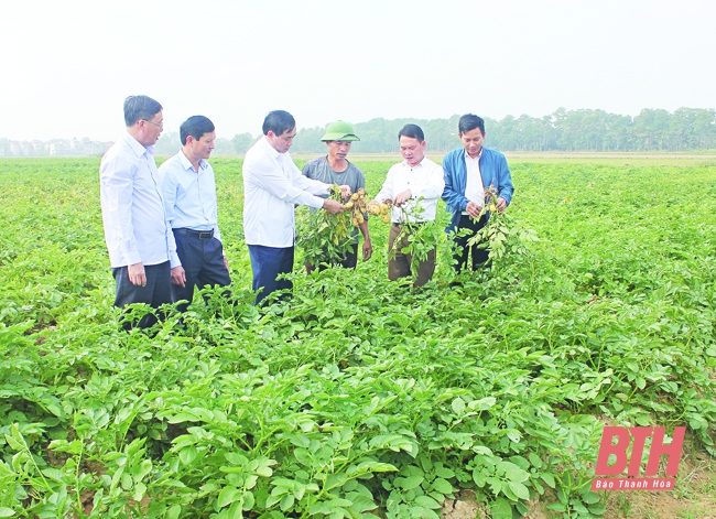 Nhân rộng, lan tỏa những giá trị tốt đẹp trong học tập và làm theo tư tưởng, đạo đức, phong cách Hồ Chí Minh