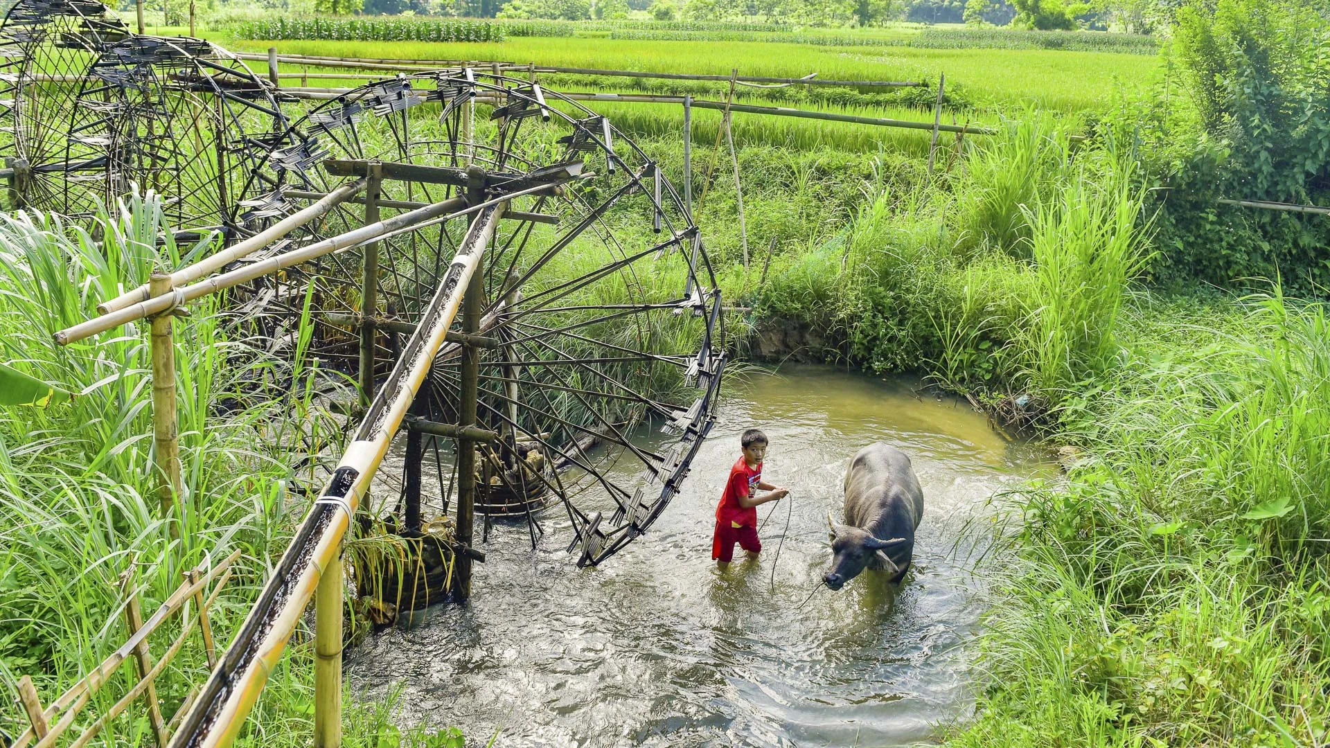 Anh Đinh Văn Thới, một khách du lịch từ Hà Nội, nhận xét: