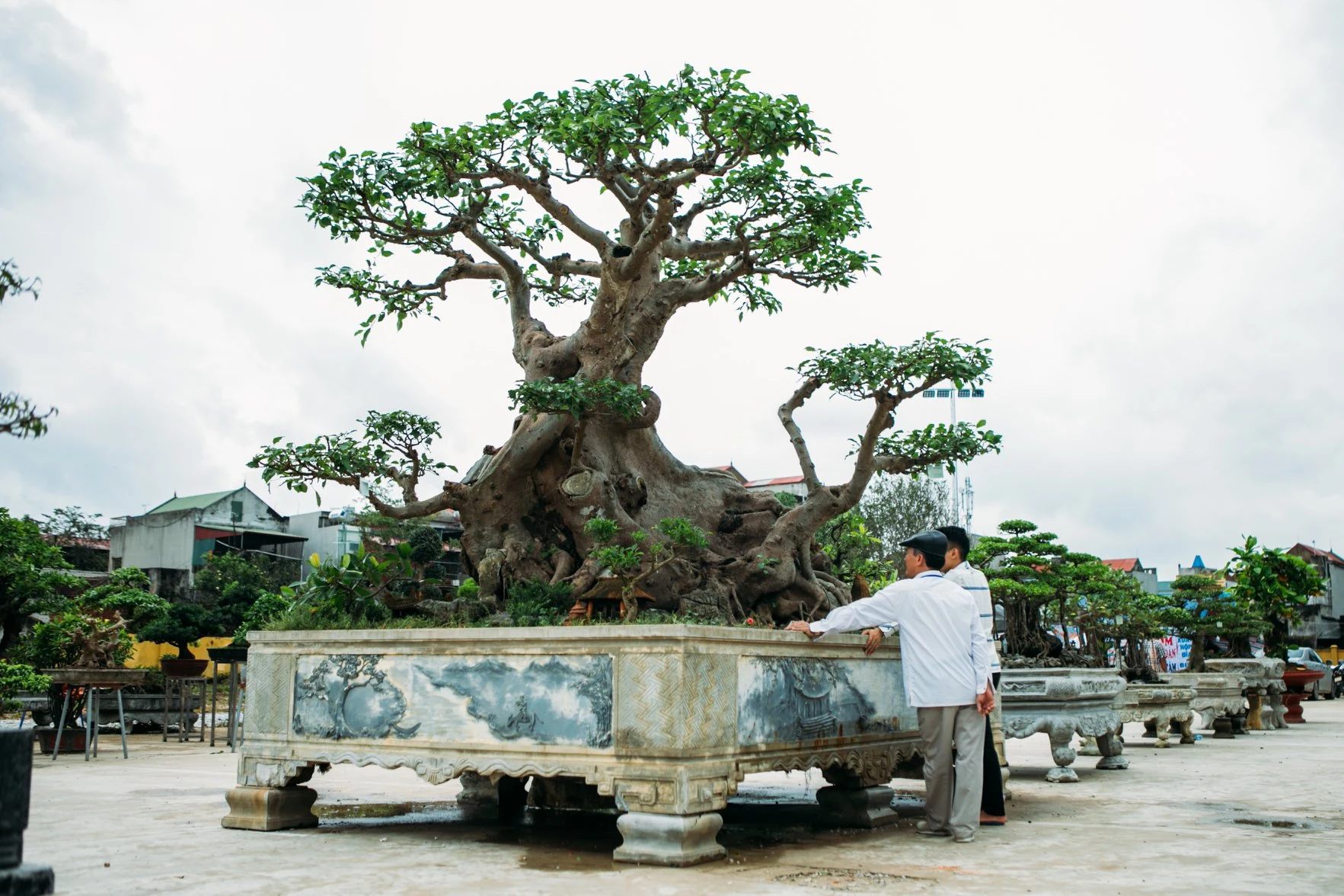 Hội chợ triển lãm sinh vật cảnh huyện Hoằng Hóa