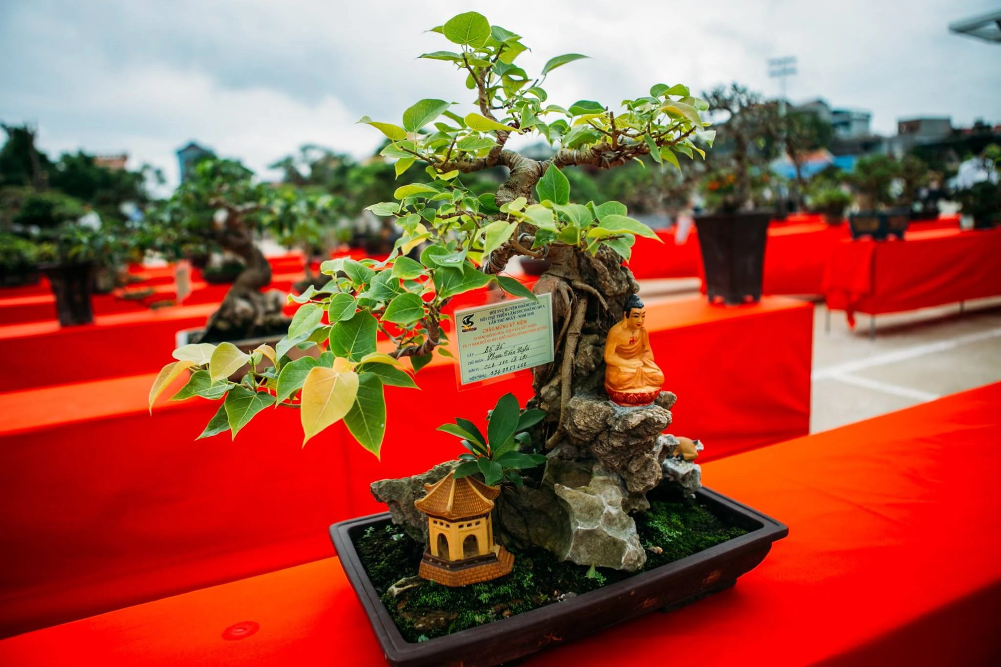 Hội chợ triển lãm sinh vật cảnh huyện Hoằng Hóa