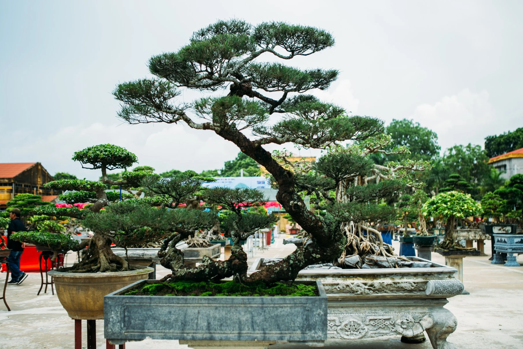 Hội chợ triển lãm sinh vật cảnh huyện Hoằng Hóa