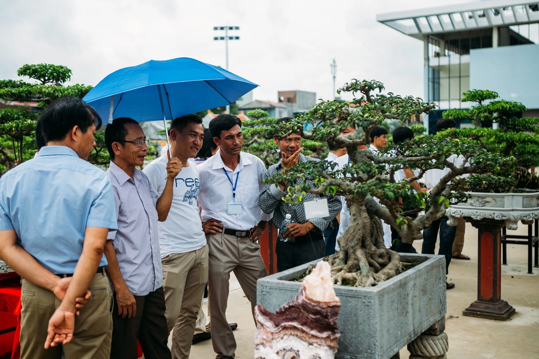 Hội chợ triển lãm sinh vật cảnh huyện Hoằng Hóa