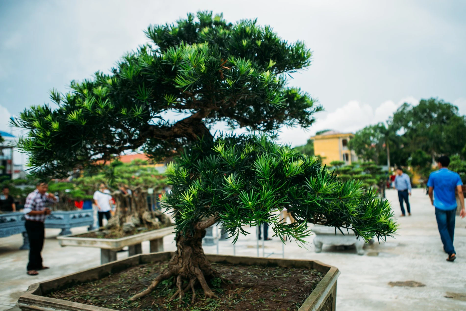 Hội chợ triển lãm sinh vật cảnh huyện Hoằng Hóa