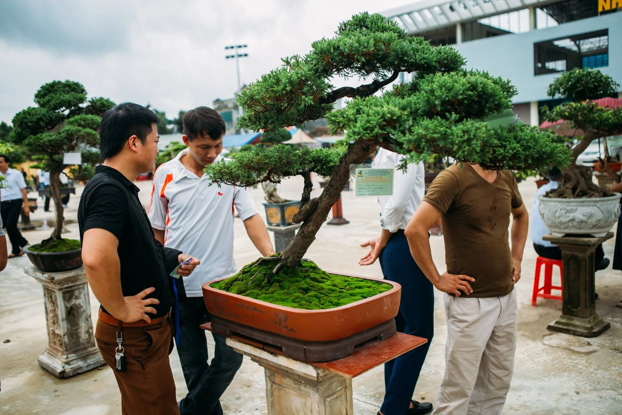 Hội chợ triển lãm sinh vật cảnh huyện Hoằng Hóa