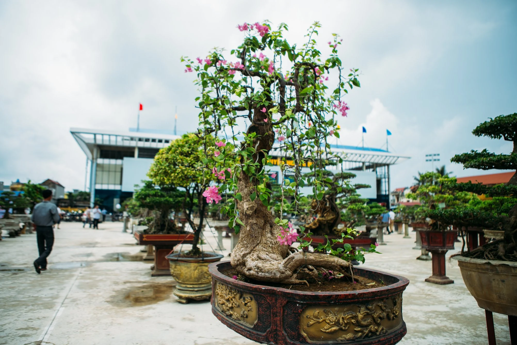 Hội chợ triển lãm sinh vật cảnh huyện Hoằng Hóa