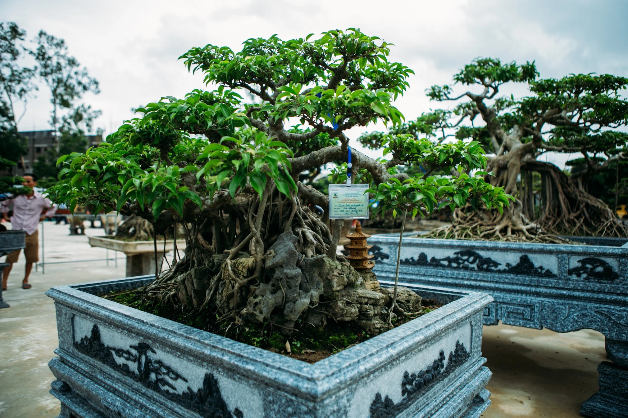 Hội chợ triển lãm sinh vật cảnh huyện Hoằng Hóa