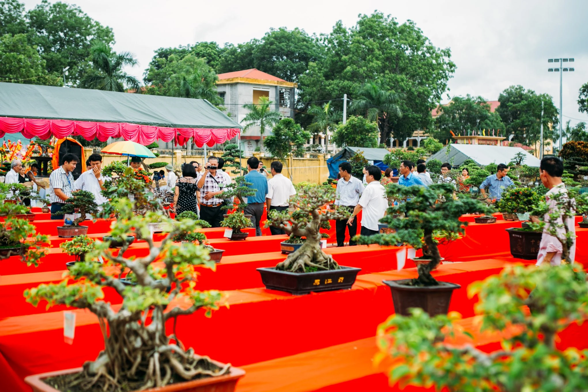 Hội chợ triển lãm sinh vật cảnh huyện Hoằng Hóa