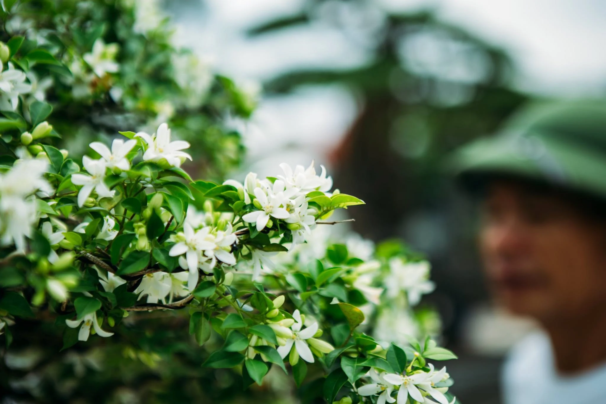 Hội chợ triển lãm sinh vật cảnh huyện Hoằng Hóa