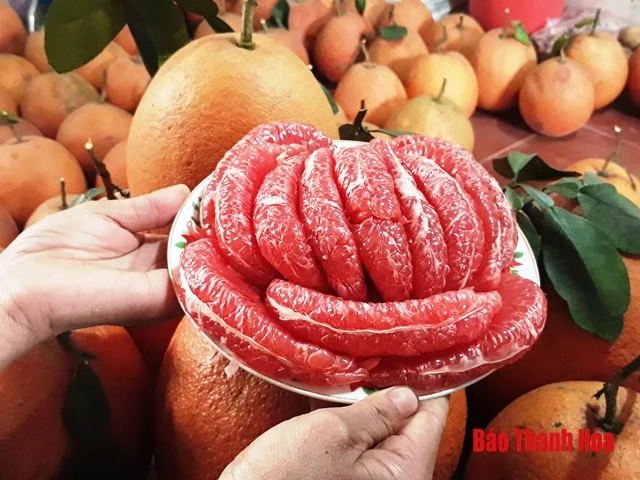 Những đặc sản trên vùng đất “Hai vua”