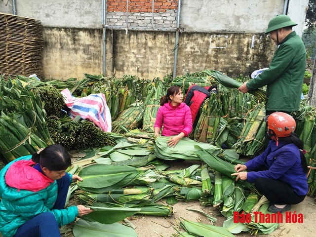 Người dân miền núi kiếm tiền triệu từ lá dong dịp tết