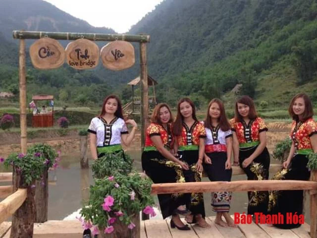 Về Như Xuân ngắm hoa Tam giác mạch