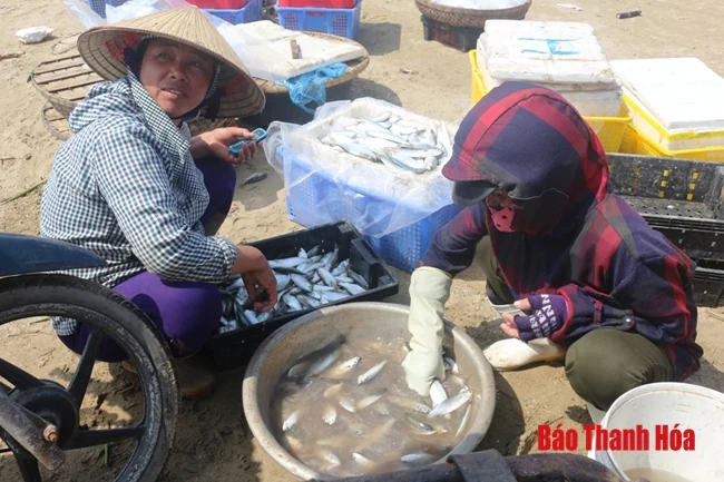 Chợ cá ven biển tấp nập ngày đầu năm