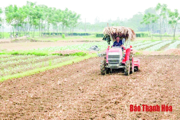 Huyện Triệu Sơn đẩy mạnh cơ giới hóa trong sản xuất nông nghiệp