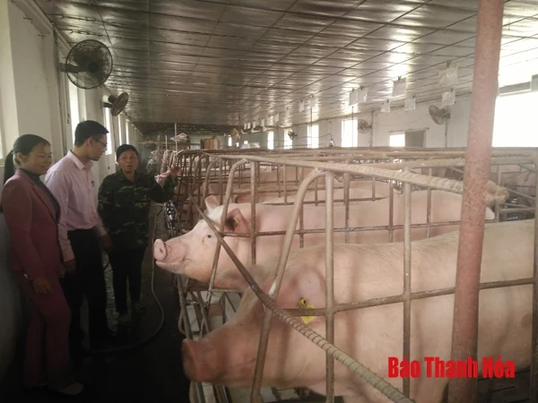 Phát triển kinh tế trang trại ở huyện Nông Cống