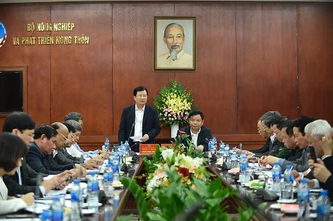 Phó Thủ tướng: Hành động quyết liệt để ngăn chặn, khống chế dịch tả lợn châu Phi