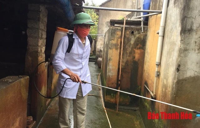 Thực hiện các giải pháp cấp bách khống chế bệnh dịch tả lợn Châu Phi