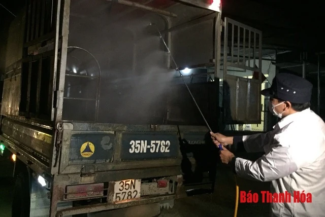 Thực hiện các giải pháp cấp bách khống chế bệnh dịch tả lợn Châu Phi