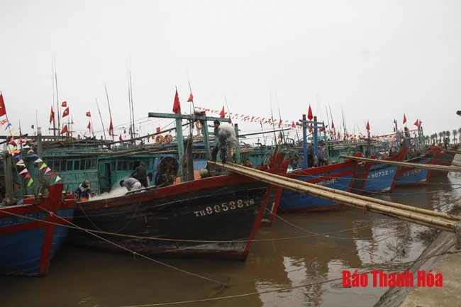 Phát triển đội tàu khai thác xa bờ