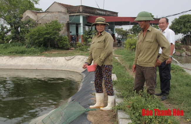 Cẩn trọng trong lựa chọn tôm giống vụ xuân hè