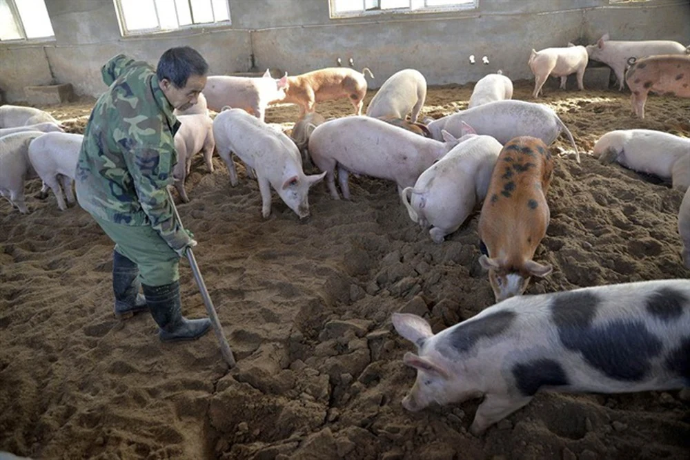 Lắng nghe và tham gia có trách nhiệm
