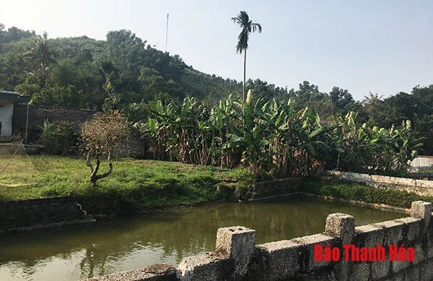 Giải quyết dứt điểm các đơn, thư liên quan đến đất đai