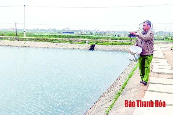 Đa dạng đối tượng nuôi trồng thủy sản - hướng phát triển phù hợp