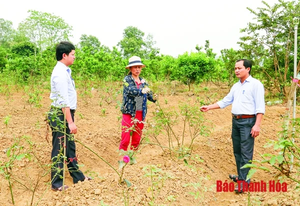 Xây dựng chi bộ trong sạch, vững mạnh - cách làm của huyện Vĩnh Lộc
