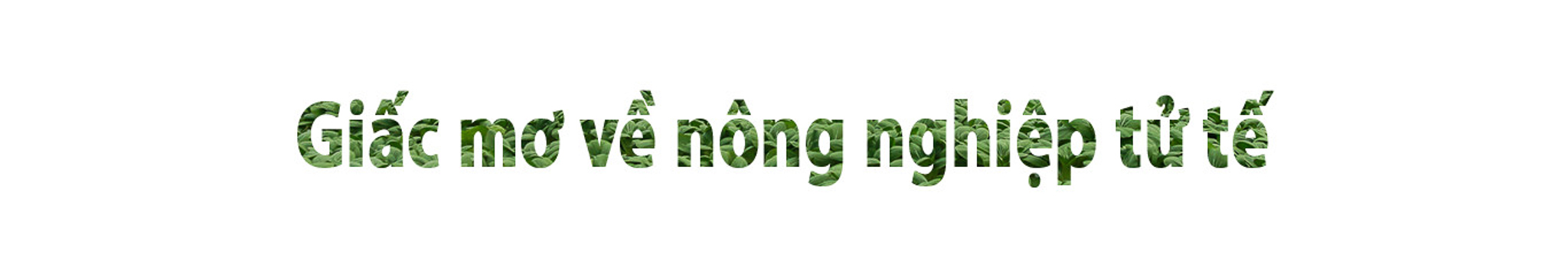 [E-magazine] Ước mơ theo đuổi Nông nghiệp tử tế của CEO xứ m88 cá cược thể thao trực tuyến