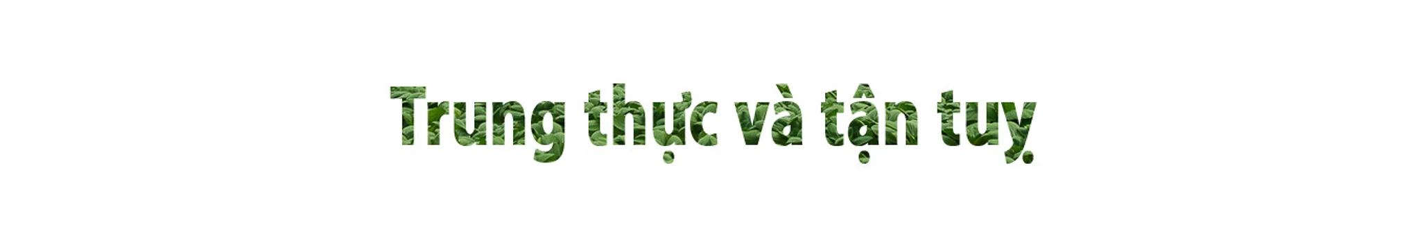[E-magazine] Ước mơ theo đuổi Nông nghiệp tử tế của CEO xứ Thanh