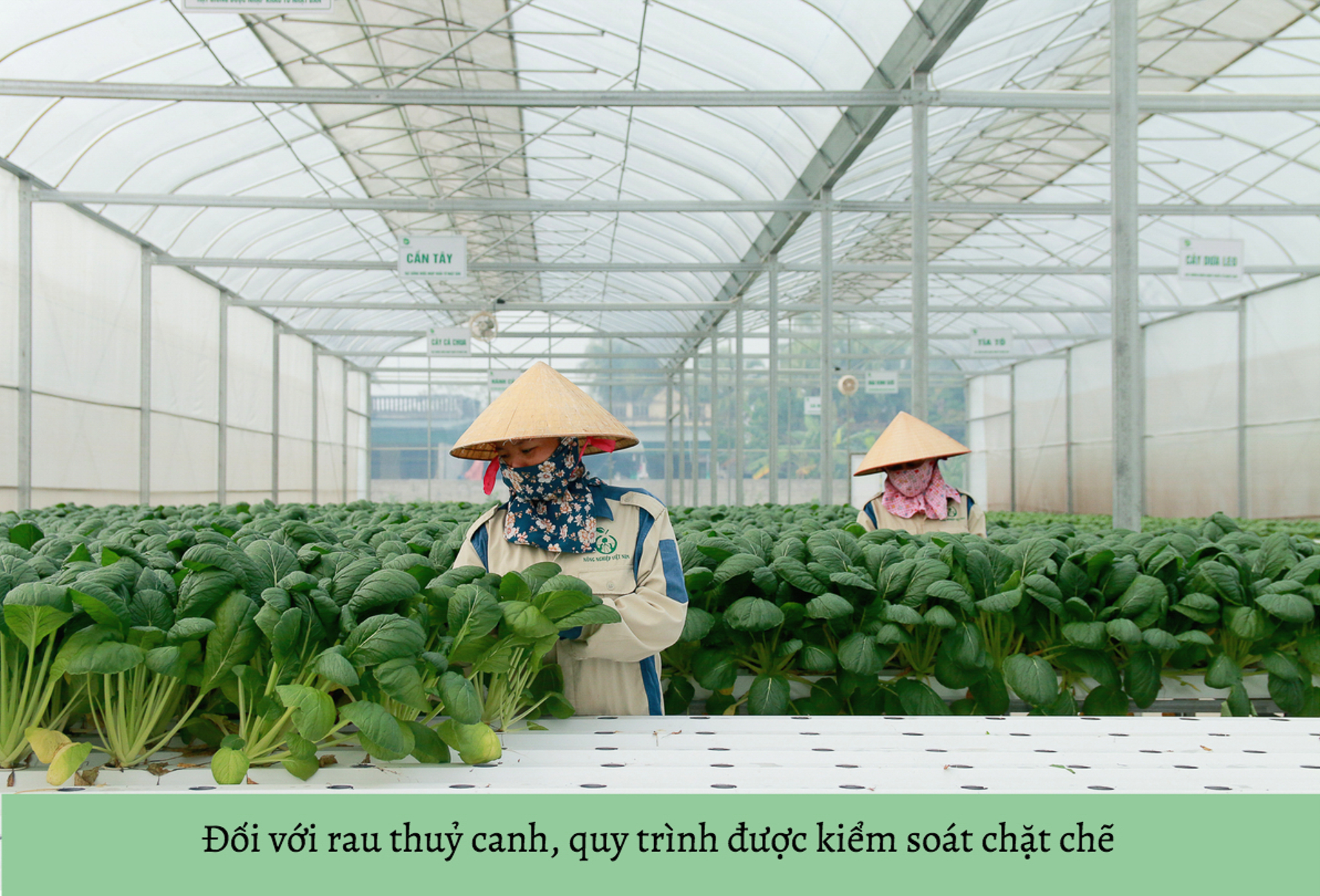 [E-magazine] Ước mơ theo đuổi Nông nghiệp tử tế của CEO xứ m88 cá cược thể thao trực tuyến