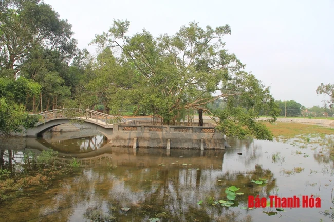 Lễ hội Lê Hoàn năm 2019 sẽ diễn ra từ ngày 10 đến 12-4