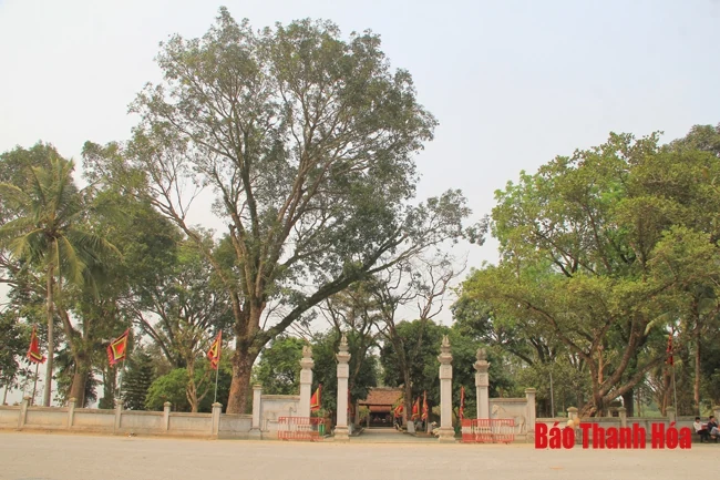 Lễ hội Lê Hoàn năm 2019 sẽ diễn ra từ ngày 10 đến 12-4