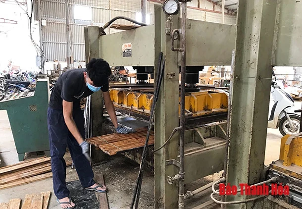 Phát triển thị trường cho các sản phẩm nội thất