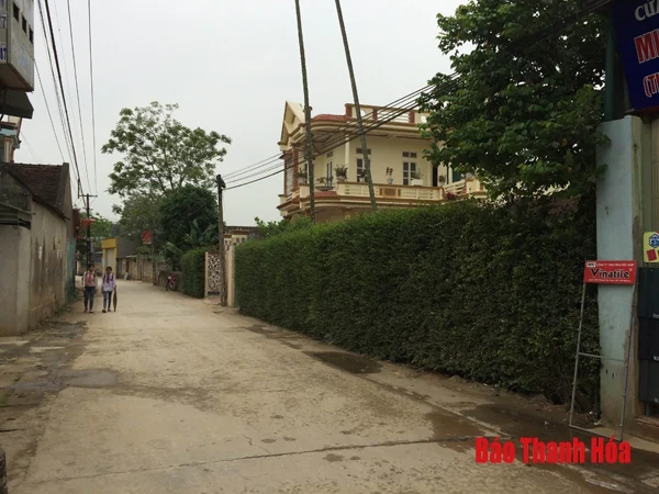 Một mảnh ghép hồn quê