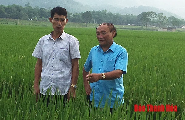 Phát huy vai trò người đứng đầu