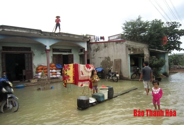 Đẩy nhanh tiến độ triển khai Dự án tiêu úng vùng 3 huyện Nông Cống