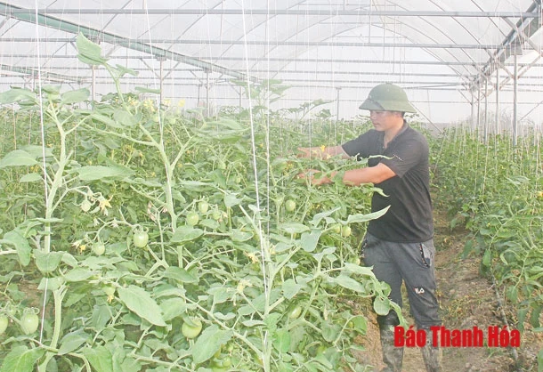 Hơn 500 doanh nghiệp, HTX, hộ sản xuất tham gia phần mềm kết nối cung cầu nông sản, thực phẩm an toàn