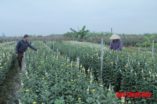 Ghi nhận phong trào nông dân sản xuất, kinh doanh giỏi ở phường Đông Cương