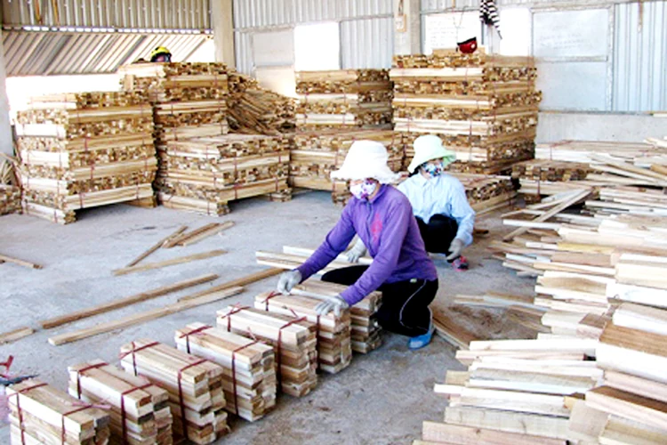 Bản tin Thanh Hóa Online ngày 7-5-2019