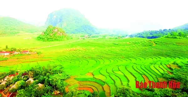 Chuyển động miền Tây xứ Thanh