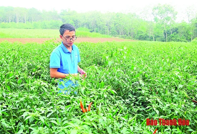 Khi kỹ sư công nghệ làm... nông dân