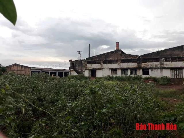 Người dân lo lắng vì doanh nghiệp chế biến gỗ gây ô nhiễm môi trường