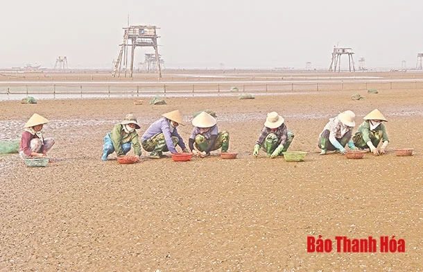 Bài 2: Gian nan nghề nuôi ngao