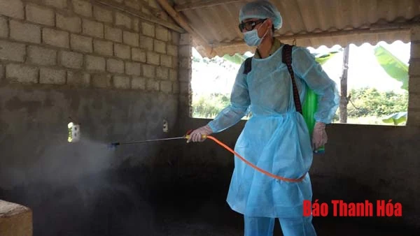 Thạch Thành: Xuất hiện ổ dịch tả lợn châu Phi tại 2 xã Thành Vinh và Thành Long