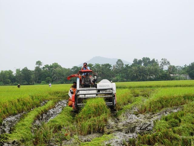 Chuyển biến sau hơn 3 năm thực hiện Nghị quyết Đại hội Đảng bộ huyện Nông Cống