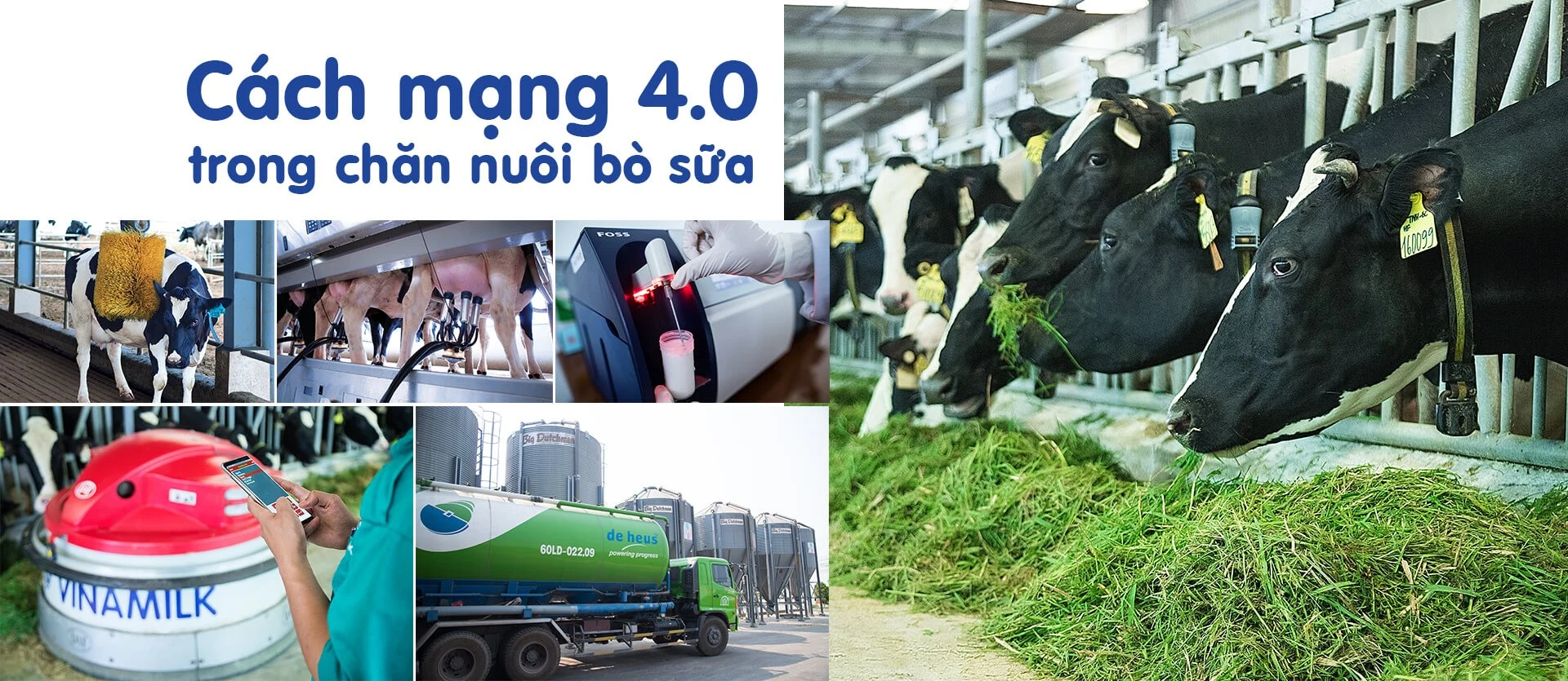 Một vòng khám phá trang trại “thông minh” của Vinamilk