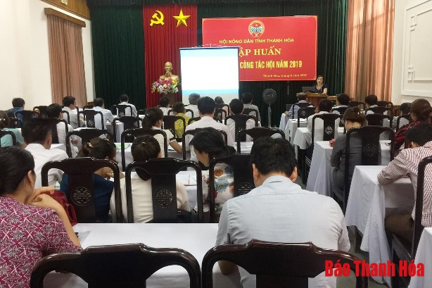 Hội Nông dân tỉnh tập huấn nghiệp vụ công tác hội năm 2019