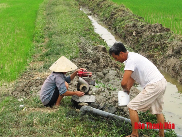 Huyện Đông Sơn khắc phục tình trạng hạn hán