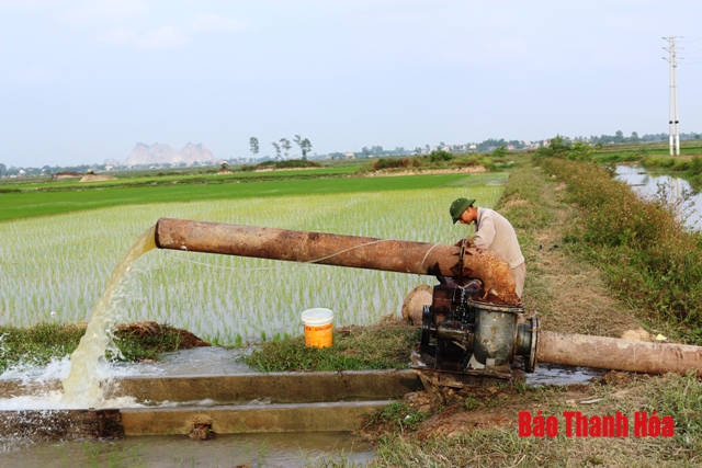 Huyện Đông Sơn khắc phục tình trạng hạn hán