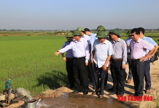 Tập trung bảo đảm nước tưới chăm sóc lúa đã gieo cấy, hoàn thành gieo cấy theo kế hoạch